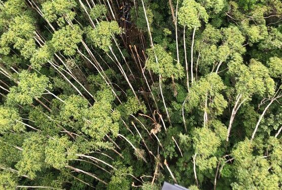 Helicóptero que desapareceu com 4 pessoas em SP é encontrado em Paraibuna após 12 dias de buscas