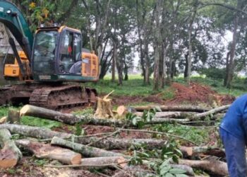 Prefeitura dá início ao preparo de área destinada à construção de nova UBS no Porto Novo