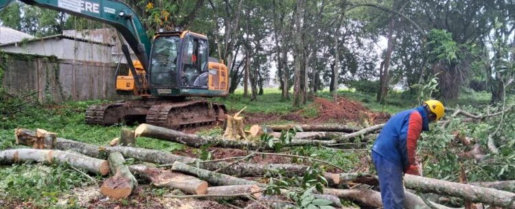 Prefeitura dá início ao preparo de área destinada à construção de nova UBS no Porto Novo
