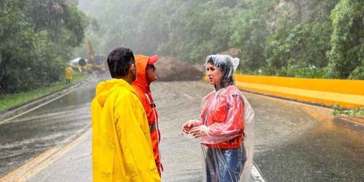 Defesa Civil auxilia trabalhos de desobstrução na Rodovia Mogi-Bertioga