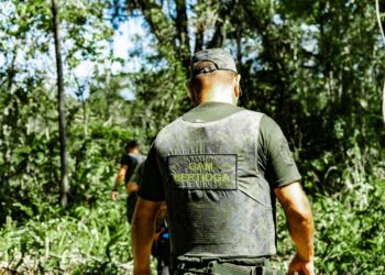 DOA remove edificação em palafitas em área embargada judicialmente