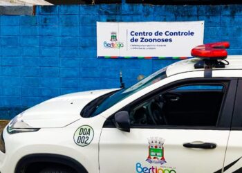 DOA resgata cachorro atropelado no Vista Linda 