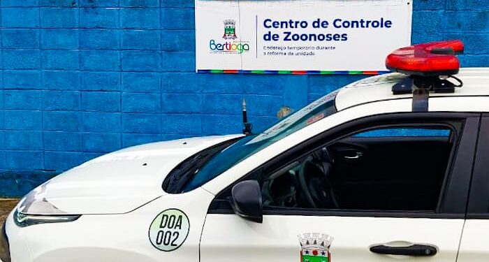 DOA resgata cachorro atropelado no Vista Linda 