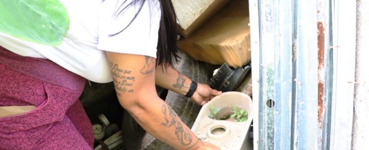 Caraguatatuba realiza mutirão contra dengue neste sábado no bairro Massaguaçu