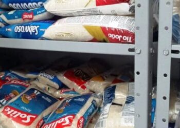 Fundo Social entrega alimentos arrecadados no Bloco da Solidariedade às instituições sociais