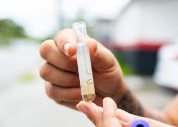 Prefeitura de Bertioga elimina mais de 750 criadouros com larvas do Aedes Aegypti durante mutirões de 2024