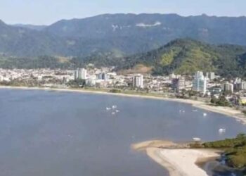 Consulta pública para elaboração da minuta da Lei da Arborização Urbana encerra amanhã