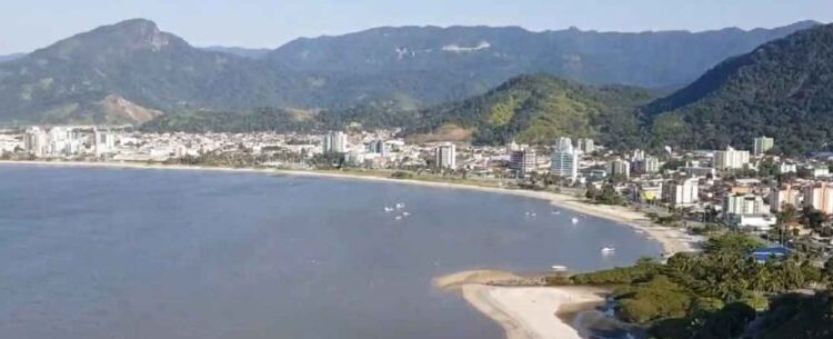 Consulta pública para elaboração da minuta da Lei da Arborização Urbana encerra amanhã