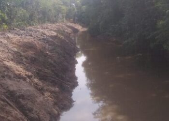 Prefeitura continua desobstrução nas margens do Rio Capricórnio