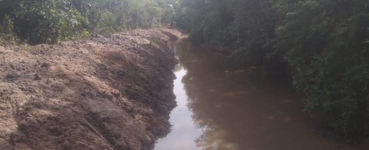 Prefeitura continua desobstrução nas margens do Rio Capricórnio