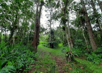 Fundo Estadual de Prevenção e Controle da Poluição aprova repasse de R＄ 24 milhões  