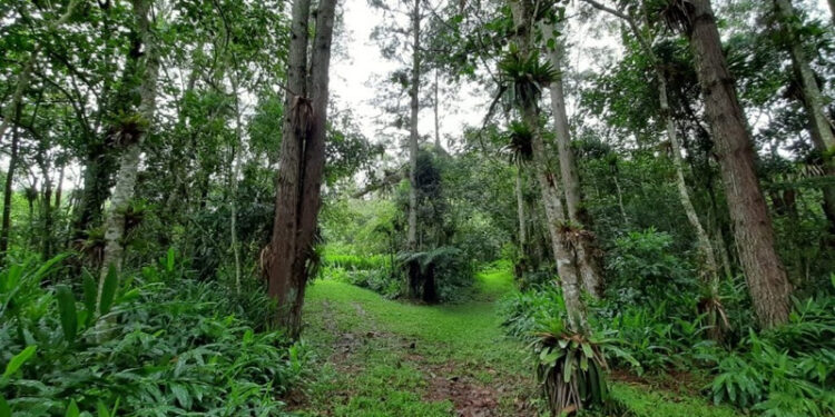 Fundo Estadual de Prevenção e Controle da Poluição aprova repasse de R＄ 24 milhões  