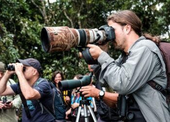 Bertioga divulga as candidatas para eleição da Ave Símbolo da cidade