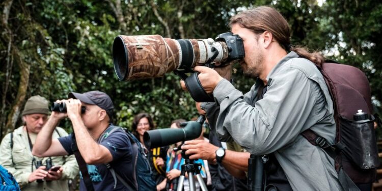 Bertioga divulga as candidatas para eleição da Ave Símbolo da cidade