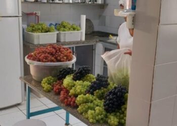 Prefeitura de Caraguatatuba e Polícia Ambiental realizam apreensão de ambulante clandestino