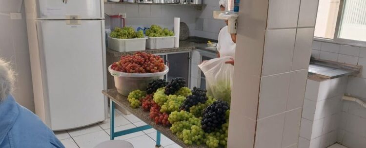 Prefeitura de Caraguatatuba e Polícia Ambiental realizam apreensão de ambulante clandestino