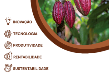 Prefeitura abre inscrição para palestra de sensibilização do Programa CACAU SP