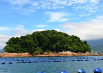 Associação de Pescadores e Maricultores da Cocanha promove ação de combate à poluição marinha
