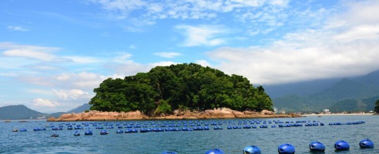 Associação de Pescadores e Maricultores da Cocanha promove ação de combate à poluição marinha