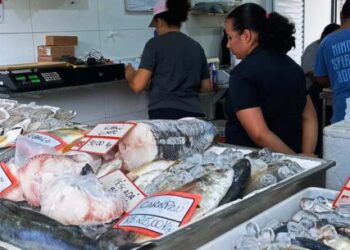 Semana Santa em Caraguatatuba registra aumento de quase 50% na venda de peixes
