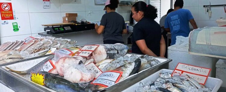Semana Santa em Caraguatatuba registra aumento de quase 50% na venda de peixes