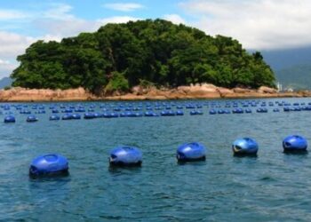 Associação de Pescadores e Maricultores da Cocanha promove ação de combate à poluição marinha nesta sexta-feira