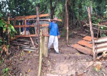 Fiscalização em Caraguatatuba impede tentativa de invasão em Área de Preservação Permanente