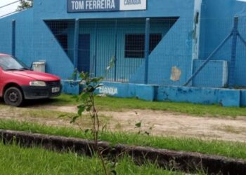 Prefeitura investe em arborização e realiza plantio de 60 mudas nesta semana