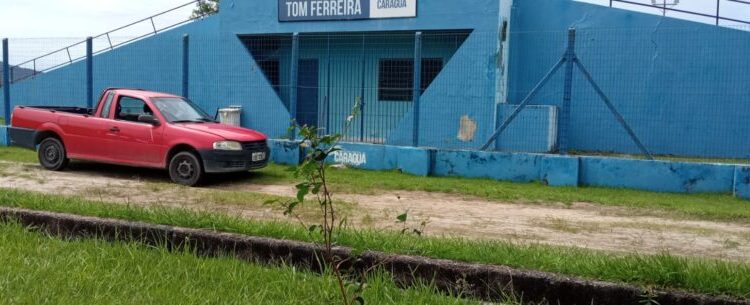 Prefeitura investe em arborização e realiza plantio de 60 mudas nesta semana