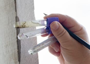 Combate à dengue: Bertioga inicia nebulização na próxima semana