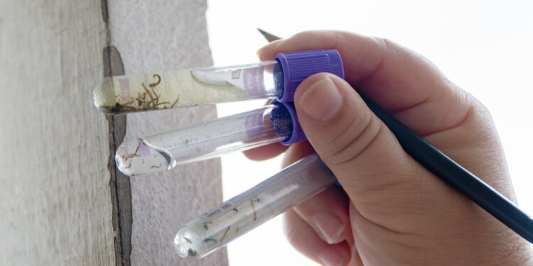 Combate à dengue: Bertioga inicia nebulização na próxima semana