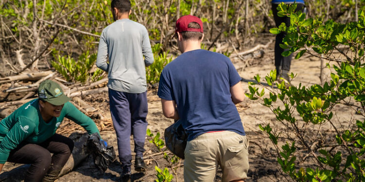 Bertioga realiza mutirão de limpeza do mangue durante o período de defeso do camarão