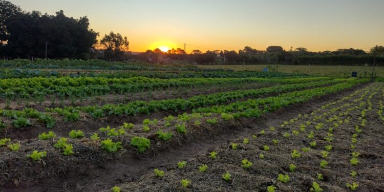 *1ª fase do Genfest terá jovens do mundo todo como voluntários em Instituições do Sudeste do Brasil*