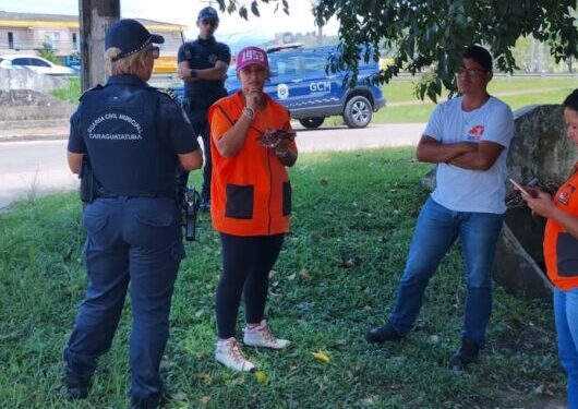 Prefeitura registra B.O e ajuda na procura por homem que teria cometido crime bárbaro contra cachorro