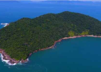 MPF quer transferir posse da Ilha do Tamanduá ao município de Caraguatatuba ou à Fundação Florestal
