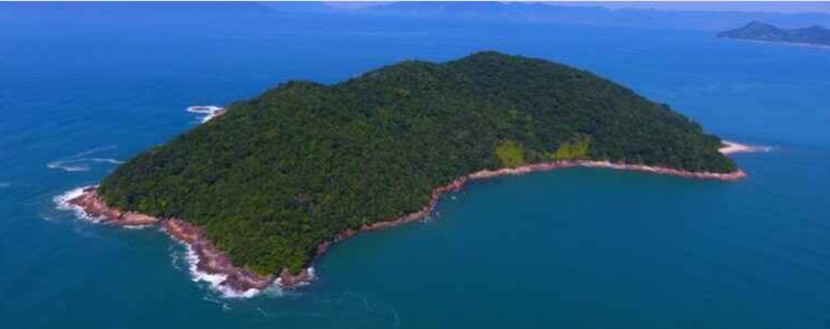 MPF quer transferir posse da Ilha do Tamanduá ao município de Caraguatatuba ou à Fundação Florestal