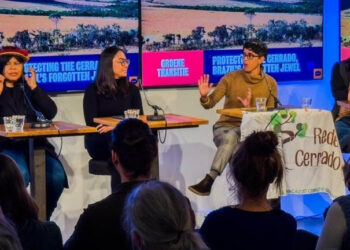 Povos Indígenas e Comunidades Tradicionais pedem inclusão do Cerrado na regulação europeia 