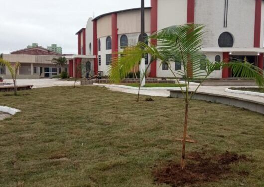 Prefeitura realiza plantio de árvores nativas na nova Praça do Divino