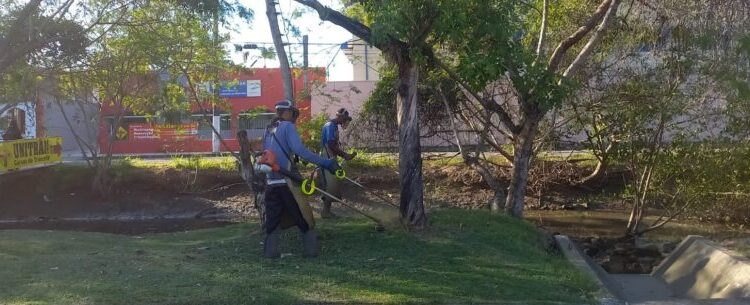 Prefeitura de Caraguatatuba convoca mais bolsistas do PEAD para manutenção de espaços públicos