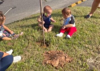 Prefeitura de Caraguatatuba realiza plantio com alunos do Colégio Anglo Módulo