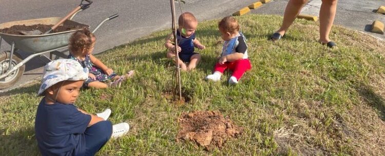 Prefeitura de Caraguatatuba realiza plantio com alunos do Colégio Anglo Módulo