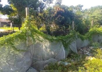 Prefeitura e Polícia Ambiental impedem invasão em Área de Preservação Permanente no Olaria