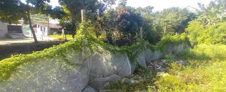 Prefeitura e Polícia Ambiental impedem invasão em Área de Preservação Permanente no Olaria