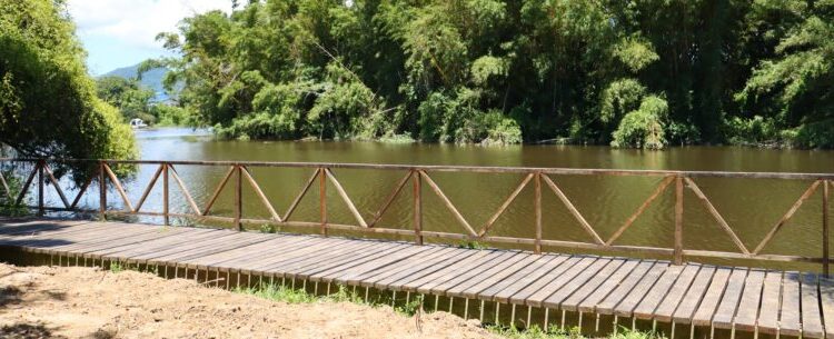 Prefeitura de Caraguatatuba abre chamamento público para prestação de serviço no ‘Dia do Observador de Aves’