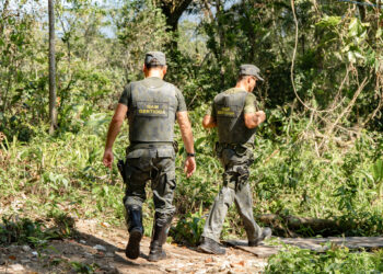 Construções irregulares em áreas embargadas são demolidas pelo DOA