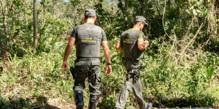 Construções irregulares em áreas embargadas são demolidas pelo DOA
