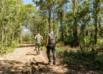 DOA demole duas construções irregulares em área embargada