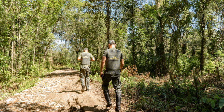 DOA demole duas construções irregulares em área embargada