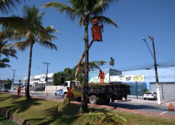 Cata Poda | Fique atento à programação para a próxima semana em Bertioga (SP)