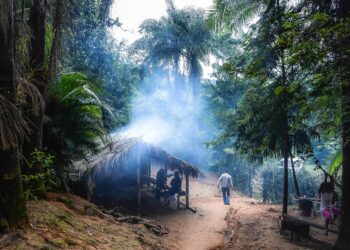 Ordem de Serviço para construção de nova escola na aldeia Rio Silveira será assinada segunda-feira (8)